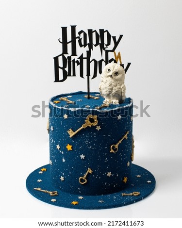 wizard cake with owl on white background.