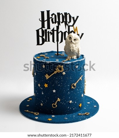 wizard cake with owl on white background.