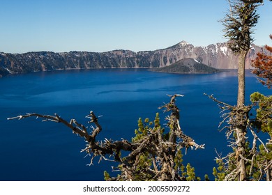 Wizard Island Is A Volcano Within A Volcano In Crater Lake Oregon, Scene Here Thru The Trees From The Rim Drive