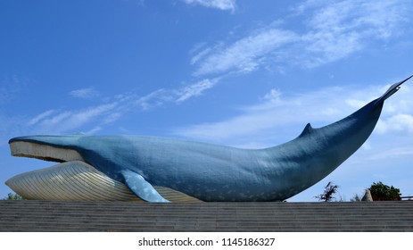 Wladyslawowo, Poland - July 18 2018 The Artificial Blue Whale In His Natural Size At The Ocean Park In Wladyslawowo