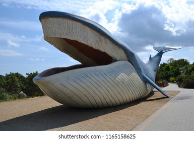 Wladyslawowo, Poland - July 18 2018 The Artificial Blue Whale In His Natural Size At The Ocean Park In Wladyslawowo