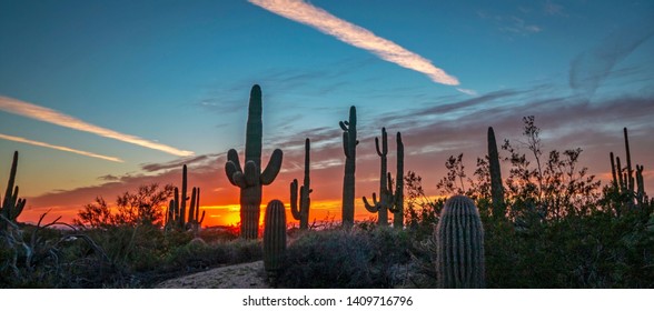 Wode ratio desert Desert Landscape Image At Sunset in Arizona 
