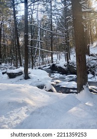 Wolcott, Connecticut Forest In Winter Time