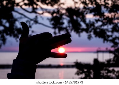 Wolf or dog  eats the sun - a figure from the fingers on the sunset background (ragnarok)