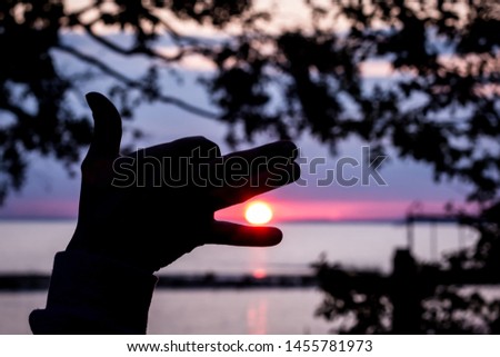 Wolf or dog  eats the sun - a figure from the fingers on the sunset background (ragnarok)