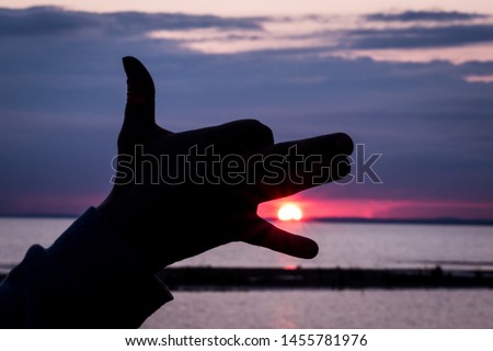 Wolf or dog  eats the sun - a figure from the fingers on the sunset background (ragnarok)