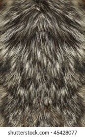 Wolf Fur Up-close