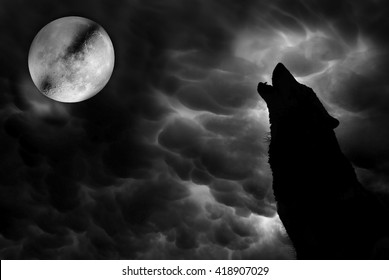 Wolf howling at moon