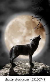 Wolf Howling To The Moon