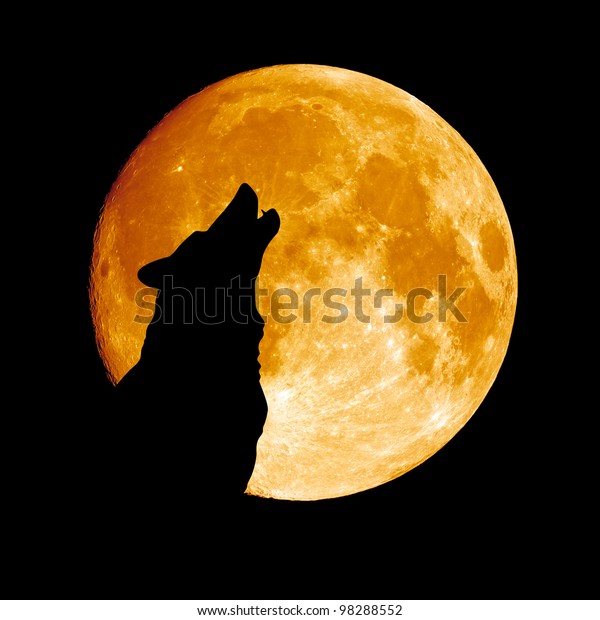 39+ Howling Wolf Moon Pumpkin Pics