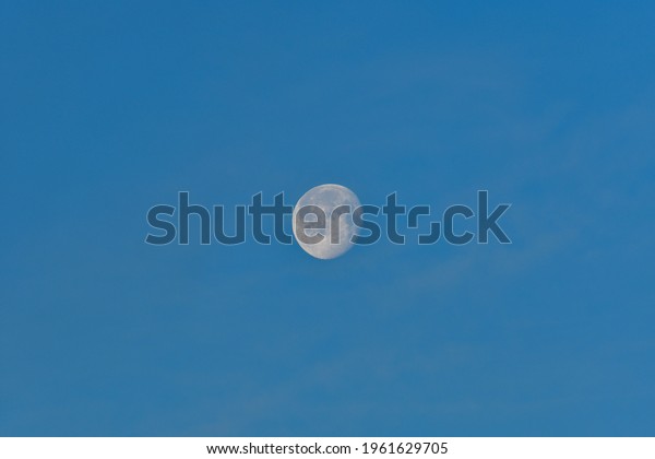 A\
wolf moon, a natural satellite against the blue\
sky.