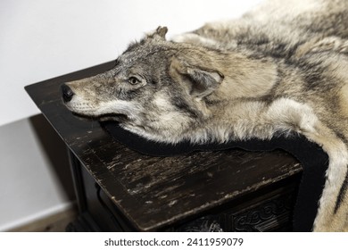 Wolf pelt lay on the dark wooden dresser