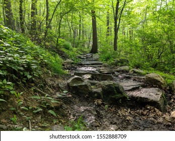 Wolf Rock Trail After Rainfall, Western Maryland, USA