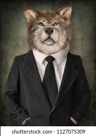 Wolf in a suit. Man with a head of lion. Concept graphic in vintage style. 