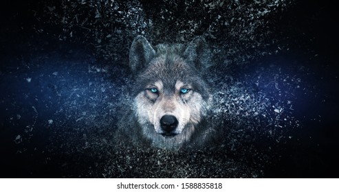 Wolf wallpaper with decay effect, 