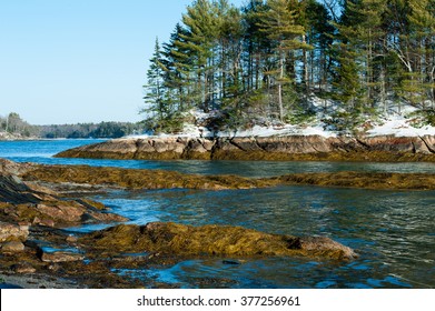 Wolfe's Neck State Park, Freeport, Maine In Winter