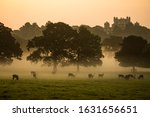 Wollaton Hall and Deer Park Nottingham dramatic misty morning with red deer sihouettes. Visit England tourism beautiful places to see and visit United Kingdom UK 
