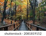 Wolmido island Wolmisan mountain trail at autumn in Incheon, Korea