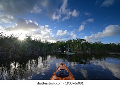 Woman And Active Senior Kayaking On Nine Mile Pond In Everglades National Park, Florida On Sunny Winter Afternoon..