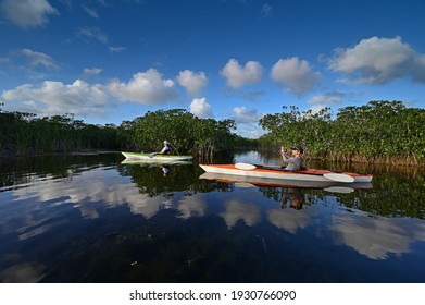 Woman And Active Senior Kayaking On Nine Mile Pond In Everglades National Park, Florida On Sunny Winter Afternoon..