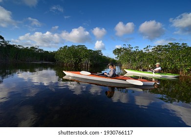 Woman And Active Senior Kayaking On Nine Mile Pond In Everglades National Park, Florida On Sunny Winter Afternoon..