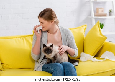 Woman With Allergy Sneezing While Holding Napkin And Siamese Cat