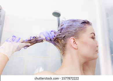 Woman Applying Coloring Shampoo On Her Hair. Female Having Purple Washing Product. Toning Blonde Color At Home.