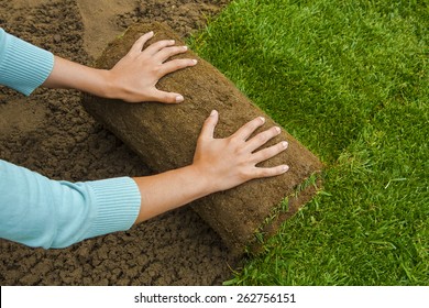 Woman applying turf rolls in the backyard