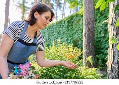 Woman In Apron Tending Backyard Flower Beds Rejoicing At Blooming Lily Plant