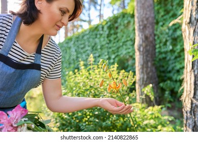 Woman In Apron Tending Backyard Flower Beds Rejoicing At Blooming Lily Plant