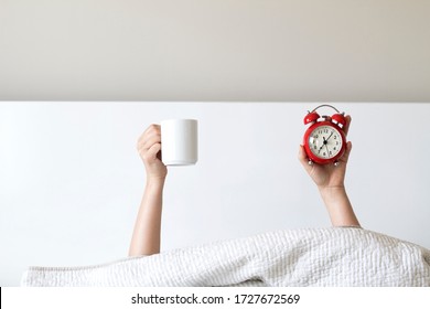 Woman arm hands holding coffee cup and red alarm clock in on bed in bed room. Young girl with two hands holding red clock and cup, drinking coffee after awaking. wake up with fun in morning concept. - Powered by Shutterstock