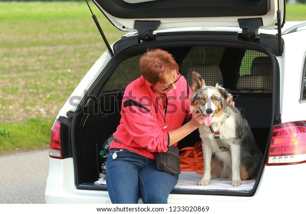 Woman with australian shepherd in the luggage space\
of her car