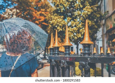 Woman At The Avenue Montaigne In Paris