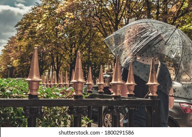 Woman At The Avenue Montaigne In Paris