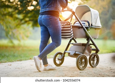 Woman with baby stroller walks in the park at sunset