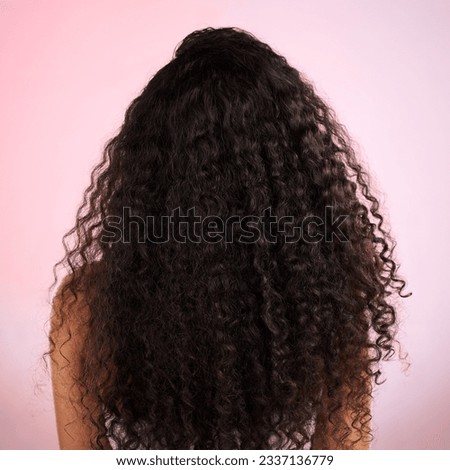 Woman, back and healthy hair in studio for wellness, cosmetics and growth by pink background. Girl, model and natural coil with balayage, shine and clean glow with texture, results or transformation