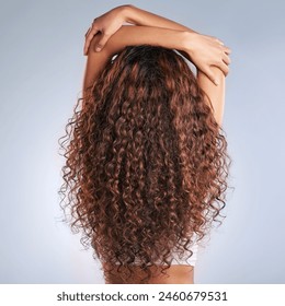 Woman, back and healthy haircare in studio, beauty and natural curls, texture and growth with balayage for transformation. Female person, cosmetics and shine, results and shampoo, glow and salon - Powered by Shutterstock