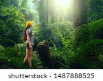 Woman with backpack exploring the beautiful rain forest on the islands of Indonesia.Travel and ecotourism concept.