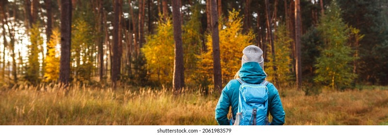 Woman with backpack and knit hat hiking in forest. Panoramic view at woodland with autumn leaf colors. Fall season trekking