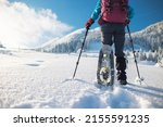 a woman with a backpack in snowshoes climbs a snowy mountain, winter trekking, hiking equipment