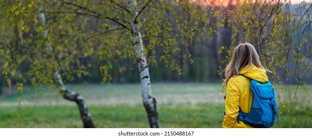 Woman with backpack and yellow jacket hiking in forest during sunset. Panoramic view at hiker in woodland. Trekking at springtime