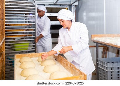 Woman baker sprinkles from spray bottle on raw dough in the kitchen at the bakery - Powered by Shutterstock