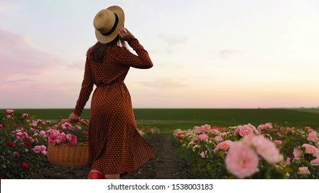 Woman with basket of roses in beautiful blooming field