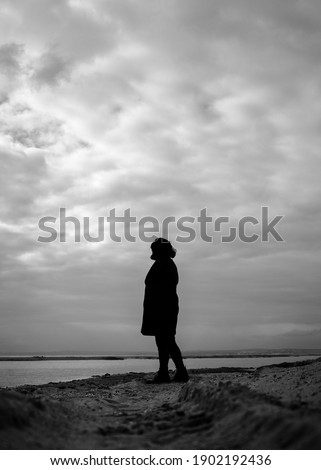 Similar – Image, Stock Photo stopped Stand Beach Ocean