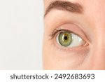 Woman with beautiful green eyes on light grey background, closeup