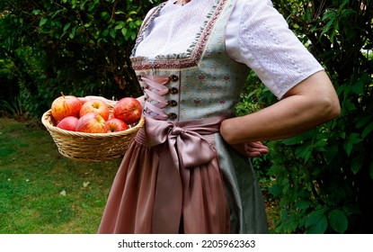 a woman in a beautiful traditional dirndl dress (or Tracht) holding a basket with gorgeous big red apples (Munich, Bavaria, Germany)                          - Shutterstock ID 2205962363