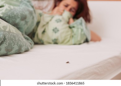 Woman in bedroom terrified by brown stink bug walking on her bed