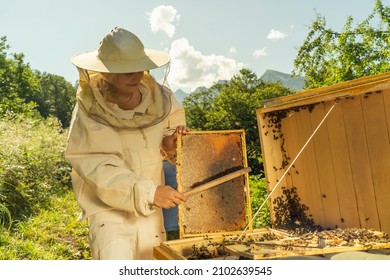 Woman beekeeper holds a wooden honey frame with bees in hands. Female Beekeeper removing the bees from the honey comb with soft brush. Apiary and honey making, small agricultural business and hobby - Powered by Shutterstock