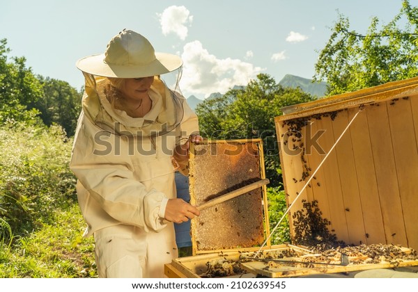 Woman beekeeper holds a wooden honey frame with\
bees in hands. Female Beekeeper removing the bees from the honey\
comb with soft brush. Apiary and honey making, small agricultural\
business and hobby