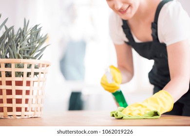 A woman in black overalls and yellow, rubber gloves dusting a table with a plant